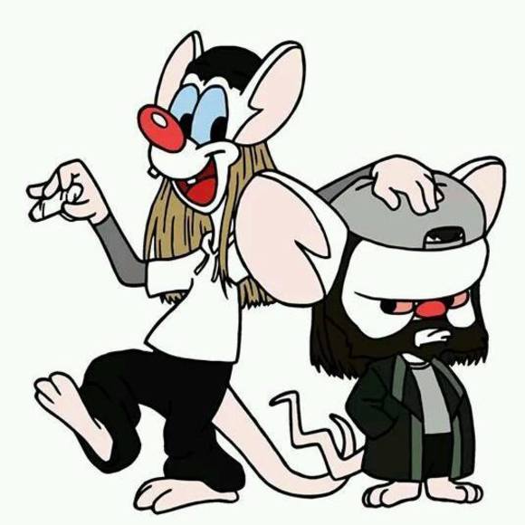 Meet your Posher, Jen - Picture 1 of 1